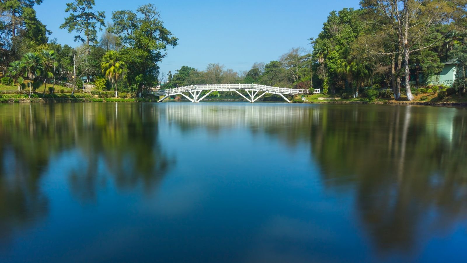 Ward's Lake